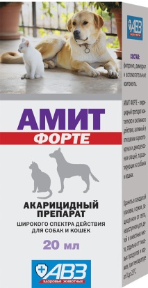 Амит Форте