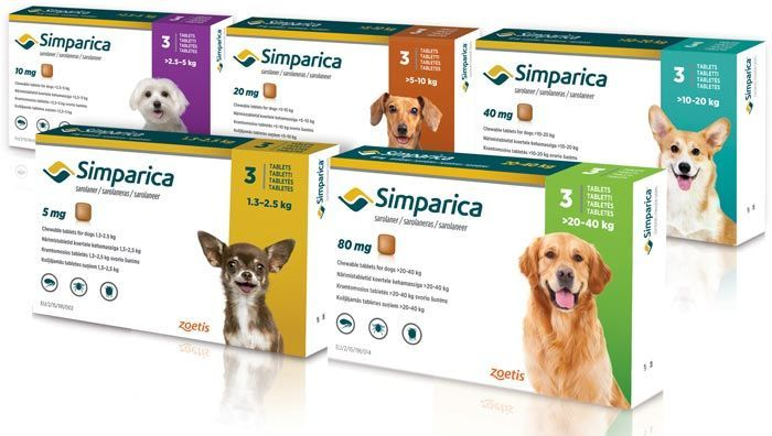 Симпарика, жевательная таблетка для собак (1 таблетка)