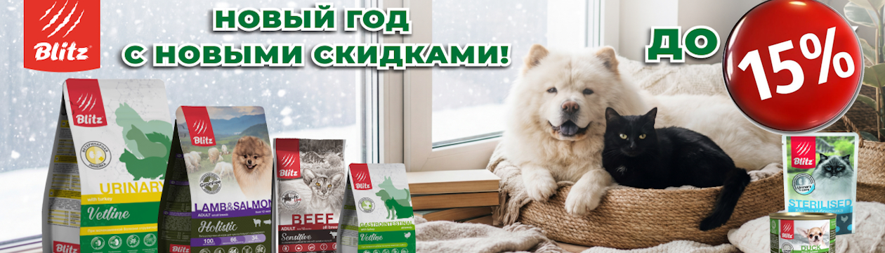 Blitz. Январские скидки