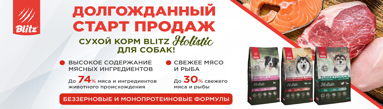 Blitz Старт продаж