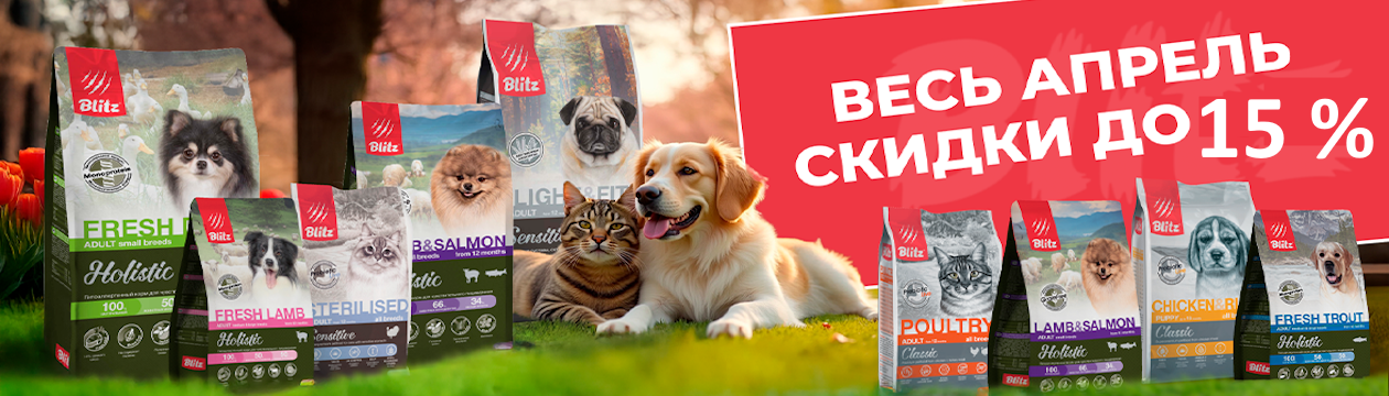Blitz. Апрельская капель