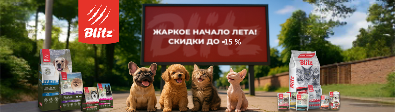 Жаркое лето с Blitz