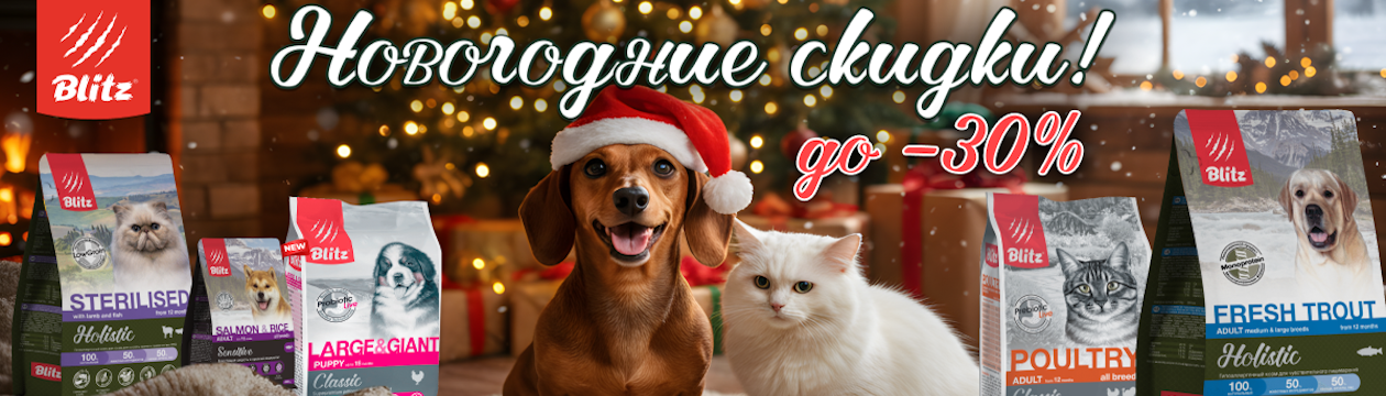 Blitz.Новогодние скидки !